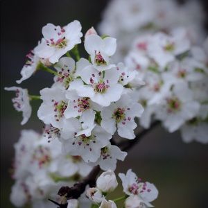 Meet your Posher, Hailey